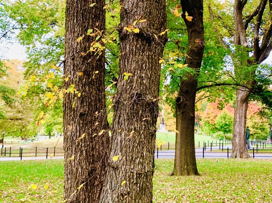 IMG_0222.jpg?type=w966