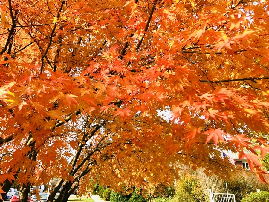 IMG_5357.jpg?type=w966