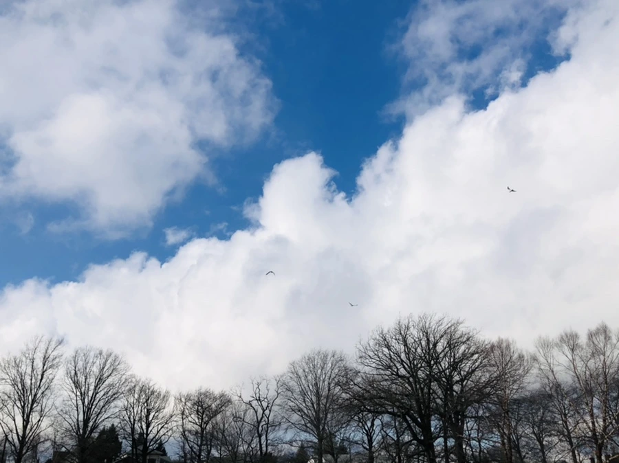 IMG_3514.jpg?type=w966