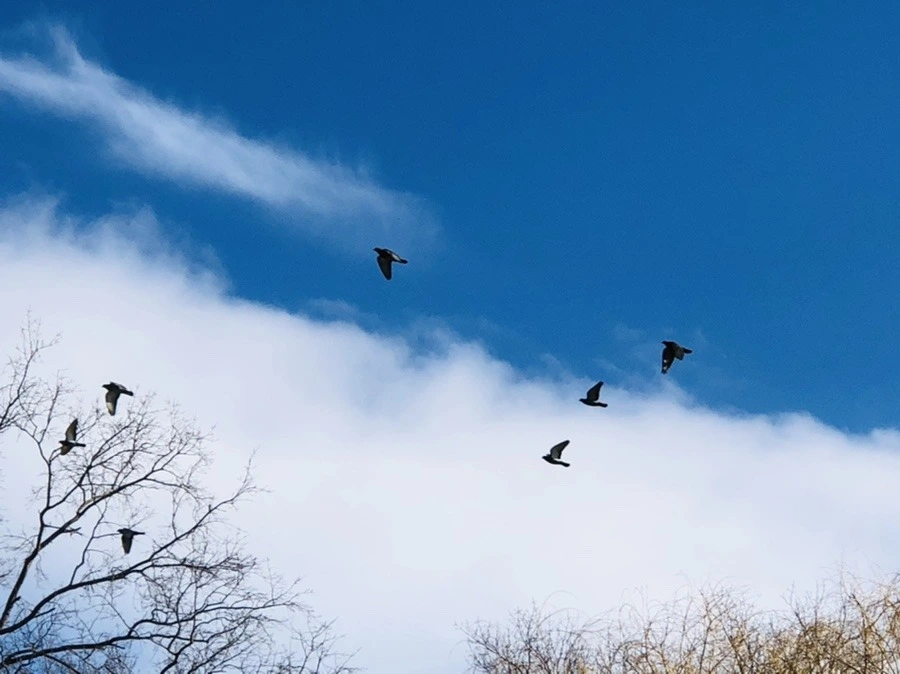 Vp-63oPNvRz74DirSnjIJv6-AvM