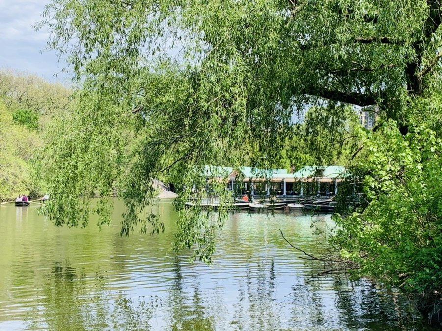 IMG_8819.jpg?type=w966