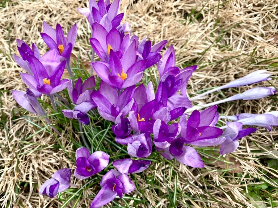 IMG_1080.jpg?type=w966