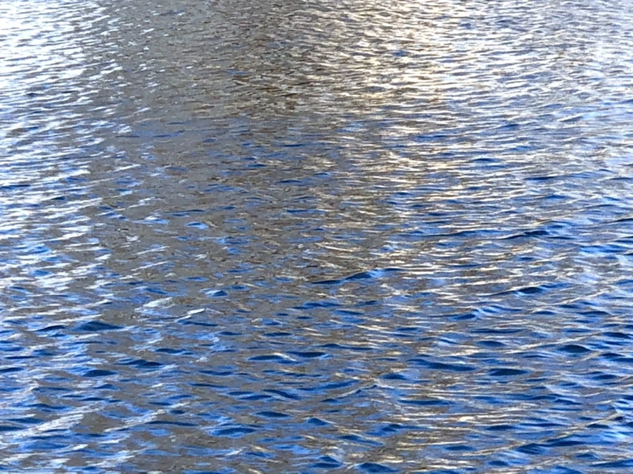 IMG_3832.jpg?type=w966