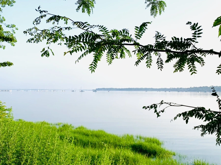 IMG_6522.jpg?type=w966