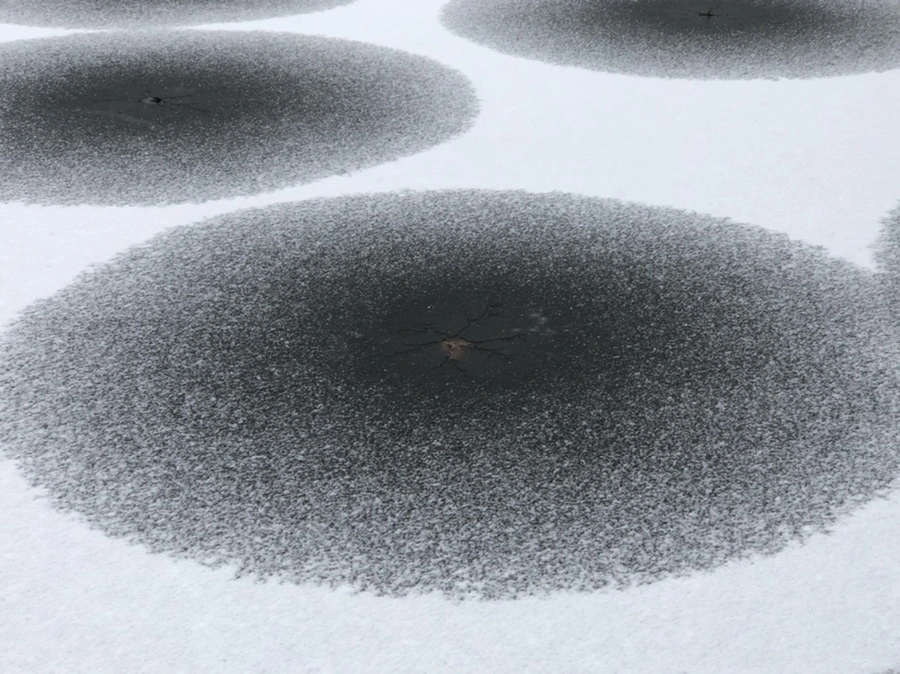 IMG_6183.jpg?type=w966