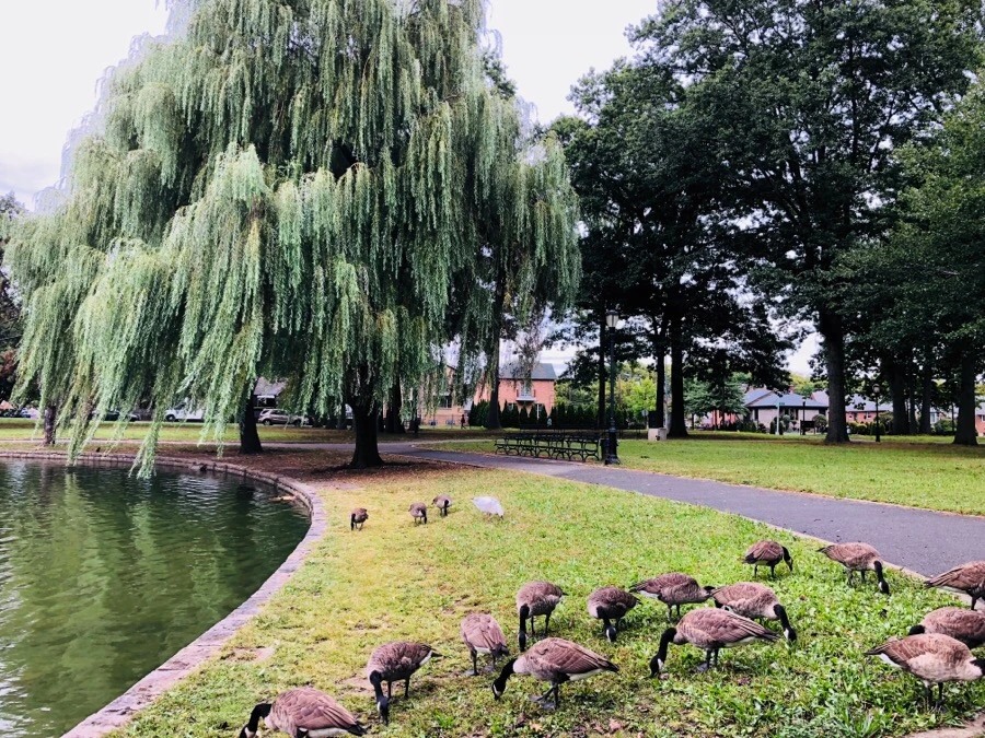 IMG_4312.jpg?type=w966