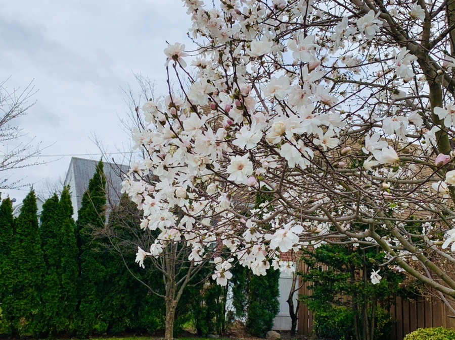 IMG_5922.jpg?type=w966