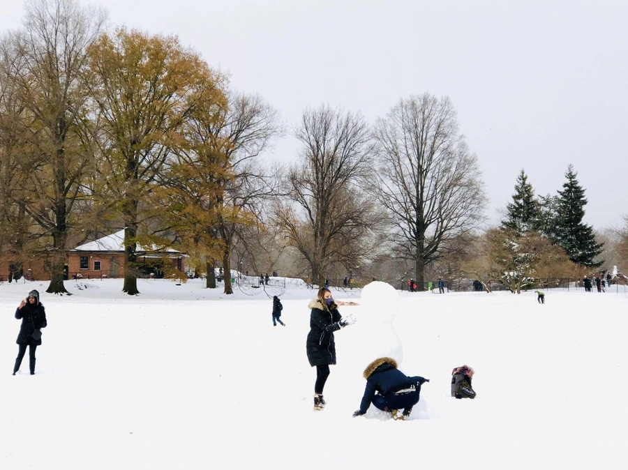 IMG_7128.jpg?type=w966