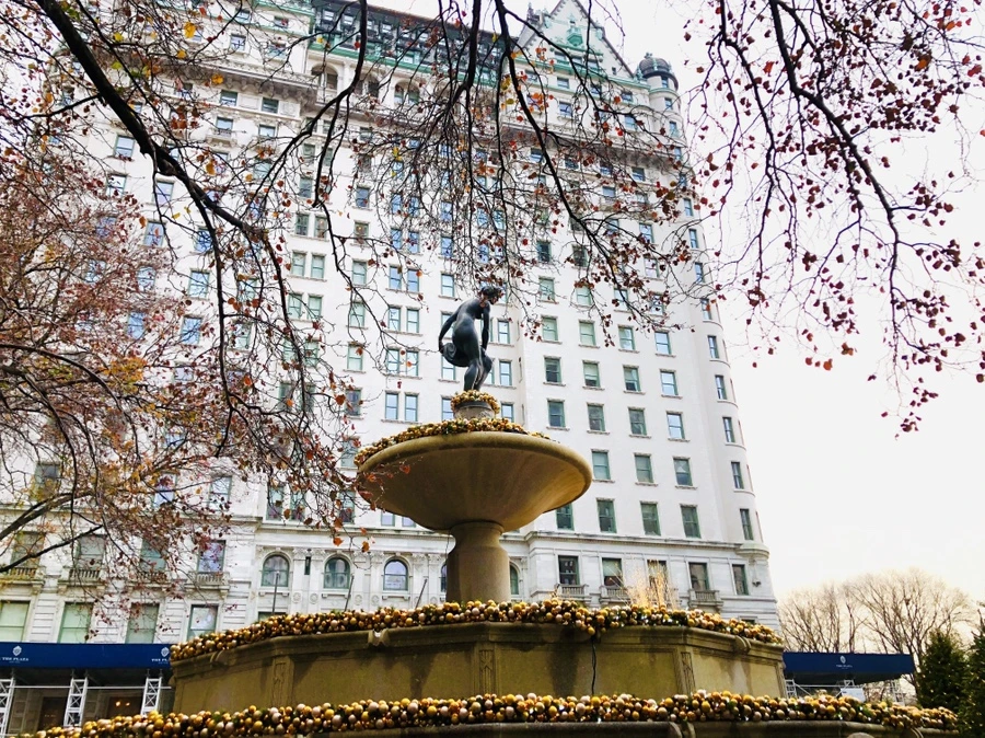 IMG_6296.jpg?type=w966