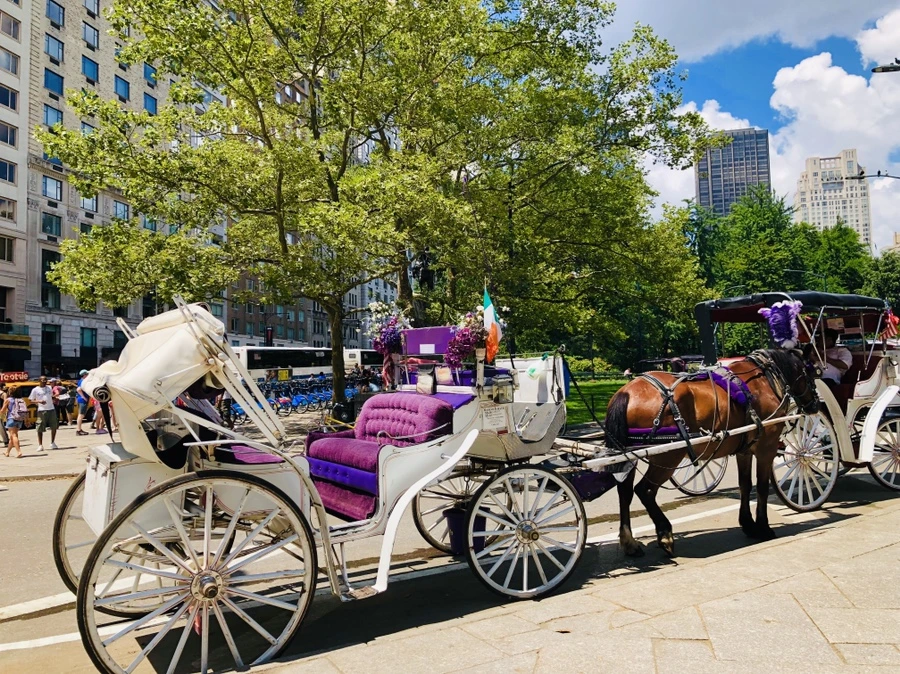 IMG_7766.jpg?type=w966