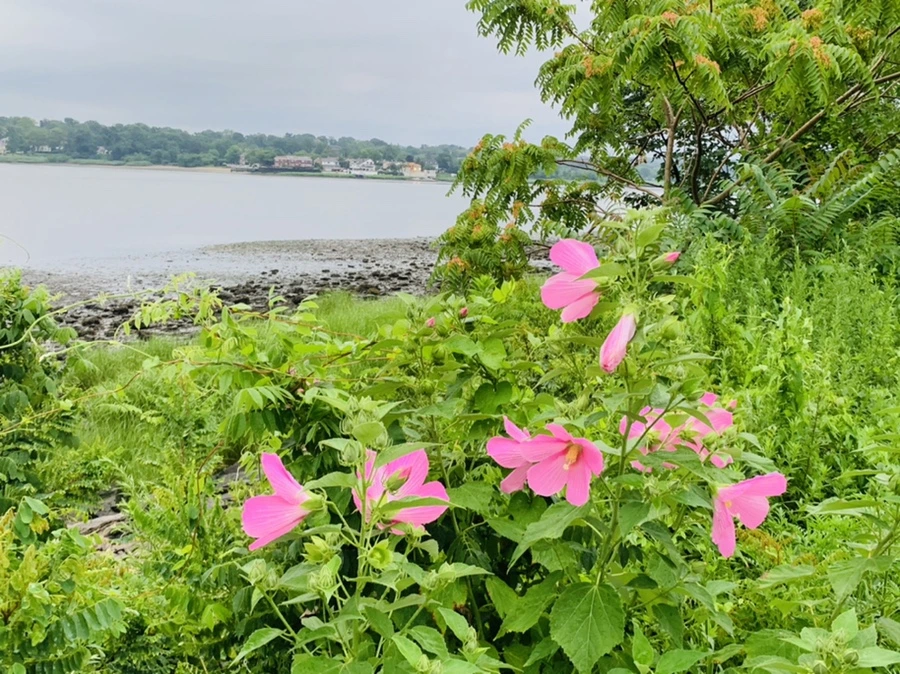 IMG_0785.jpg?type=w966