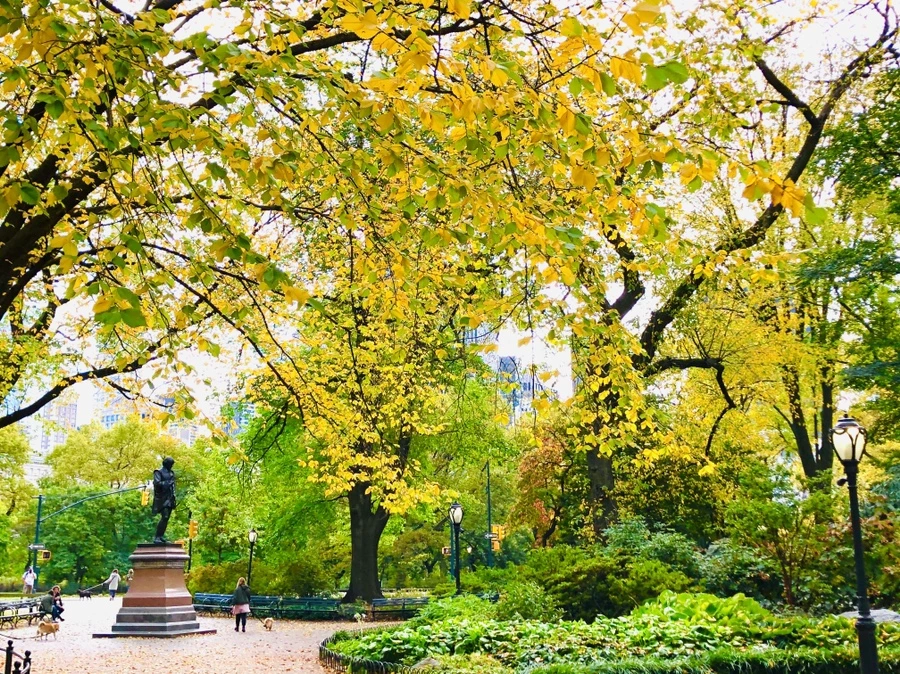 IMG_3007.jpg?type=w966