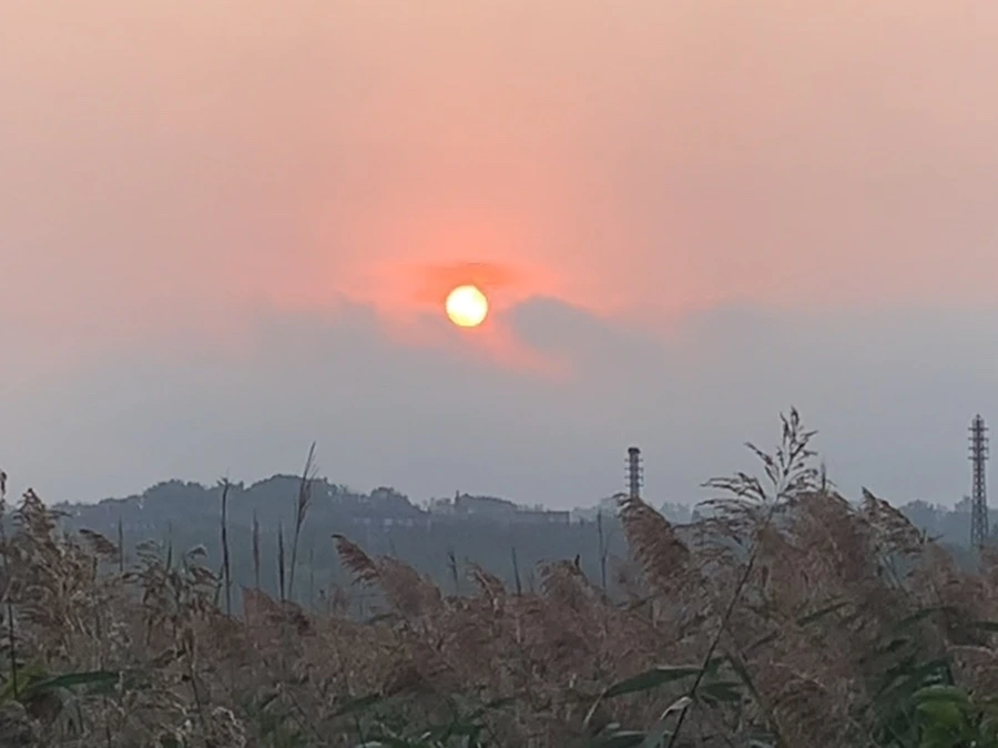 IMG_1122.jpg?type=w966