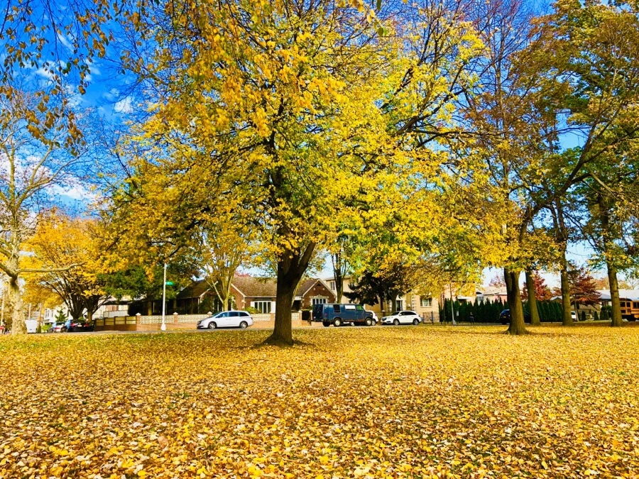 IMG_7492.jpg?type=w966