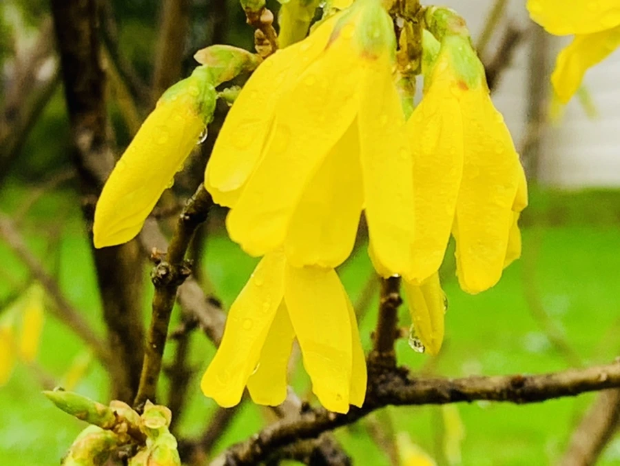 IMG_5069.jpg?type=w966