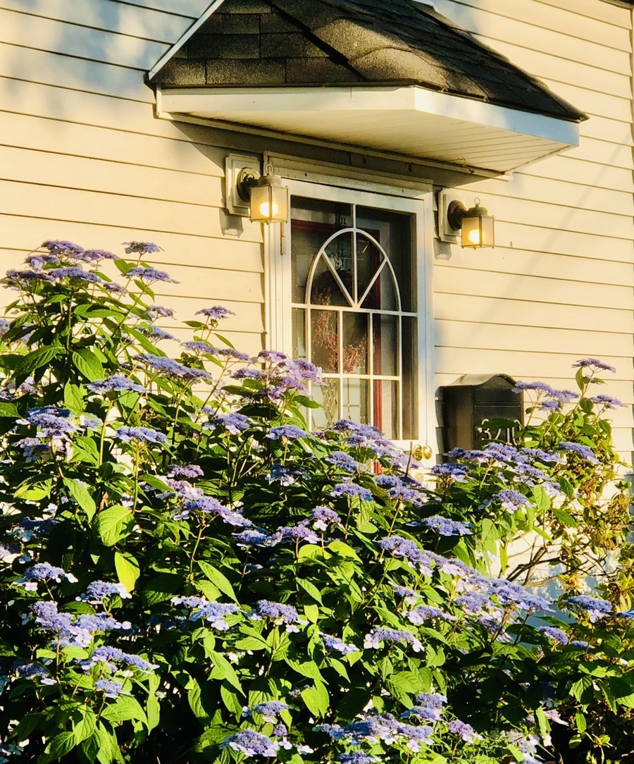 IMG_0207.jpg?type=w966