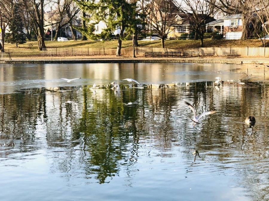 IMG_2665.jpg?type=w966