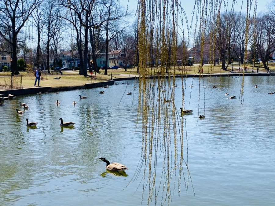 IMG_3116.jpg?type=w966