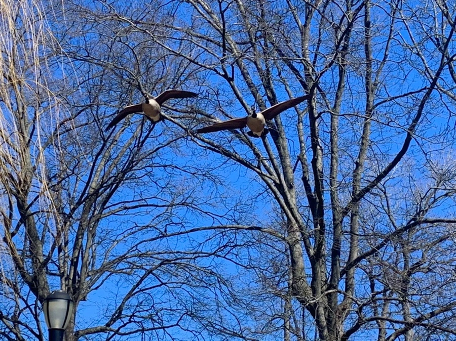 IMG_6734.jpg?type=w966