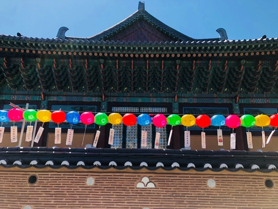 IMG_5246.jpg?type=w966