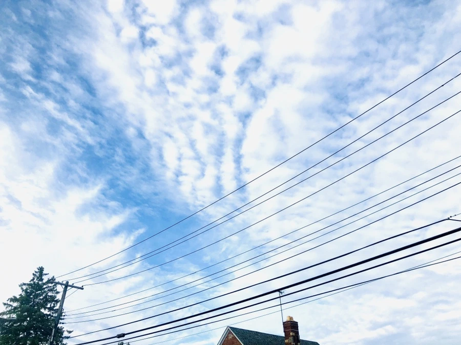 IMG_0994.jpg?type=w966