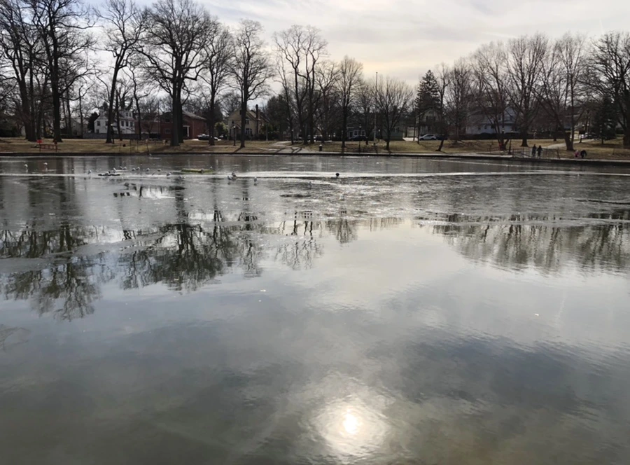 IMG_5684.jpg?type=w966