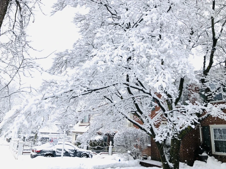 IMG_0965.jpg?type=w966