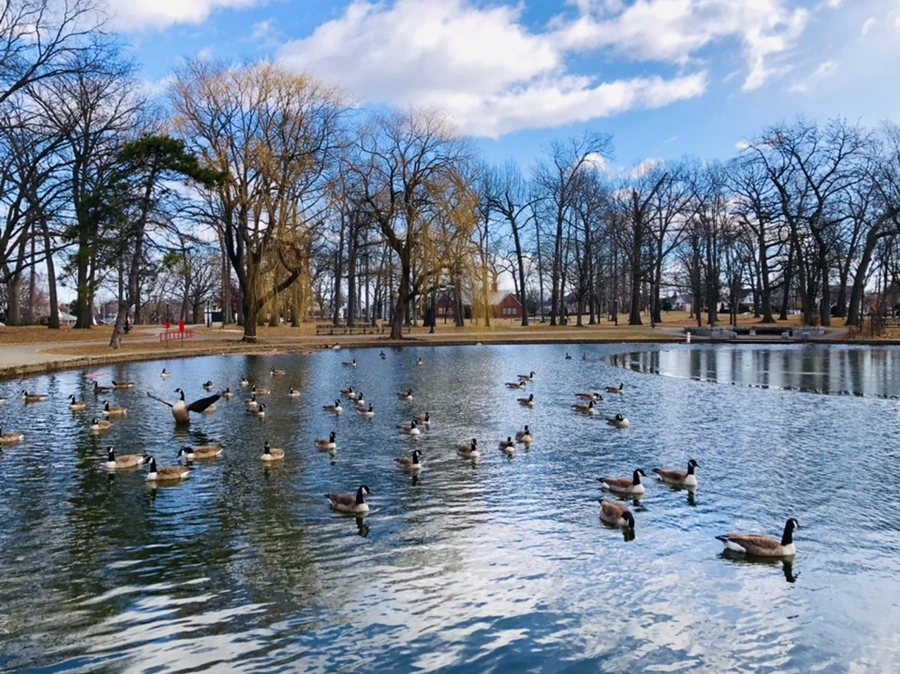 IMG_5247.jpg?type=w966