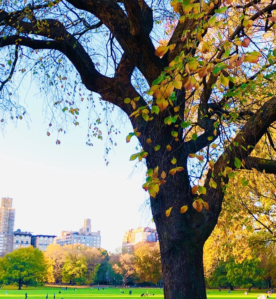 IMG_4849.jpg?type=w966