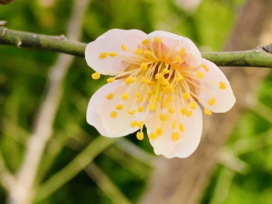 IMG_0268.jpg?type=w966