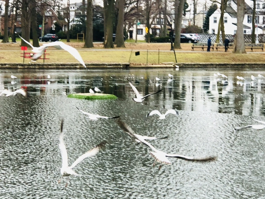 IMG_3284.jpg?type=w966