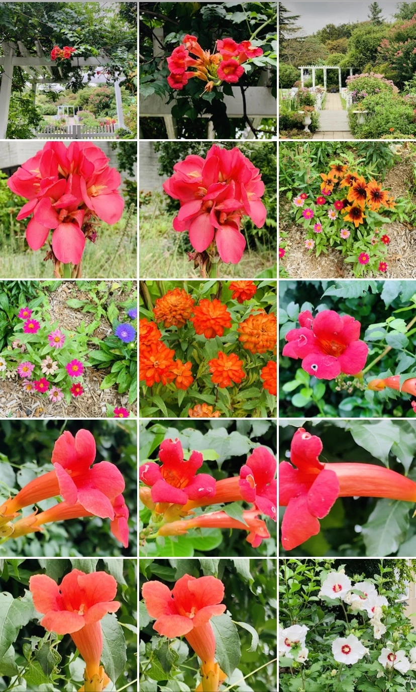 IMG_7987.jpg?type=w966