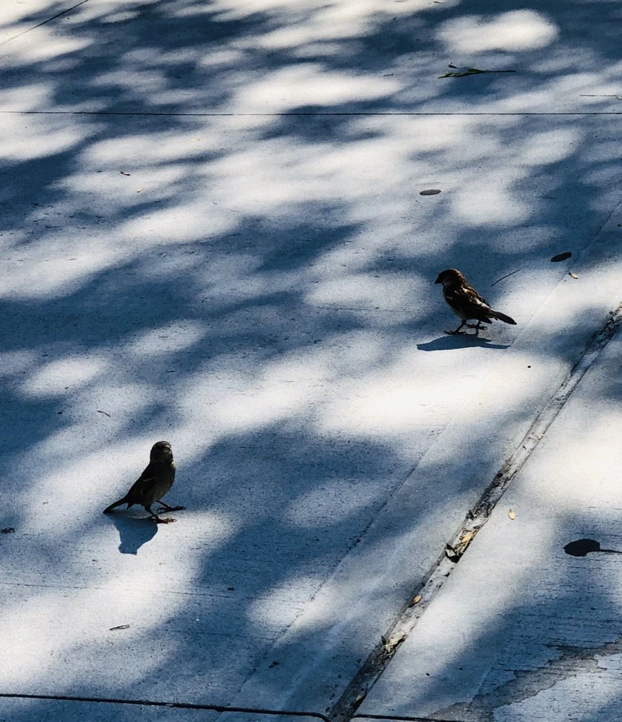 SOvvsvFtCX84bmVFBI3huhlpHwA