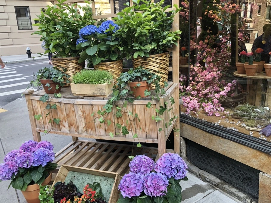 IMG_2877.jpg?type=w966