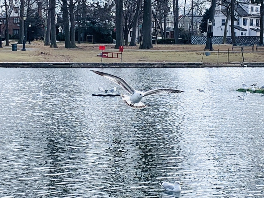 IMG_7856.jpg?type=w966