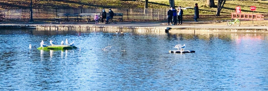 IMG_9267.jpg?type=w966