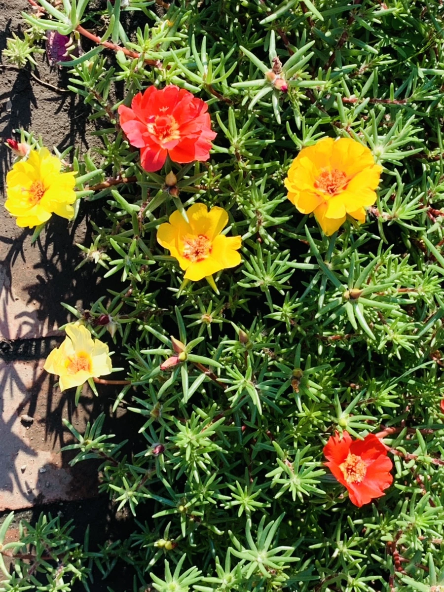 IMG_8395.jpg?type=w966