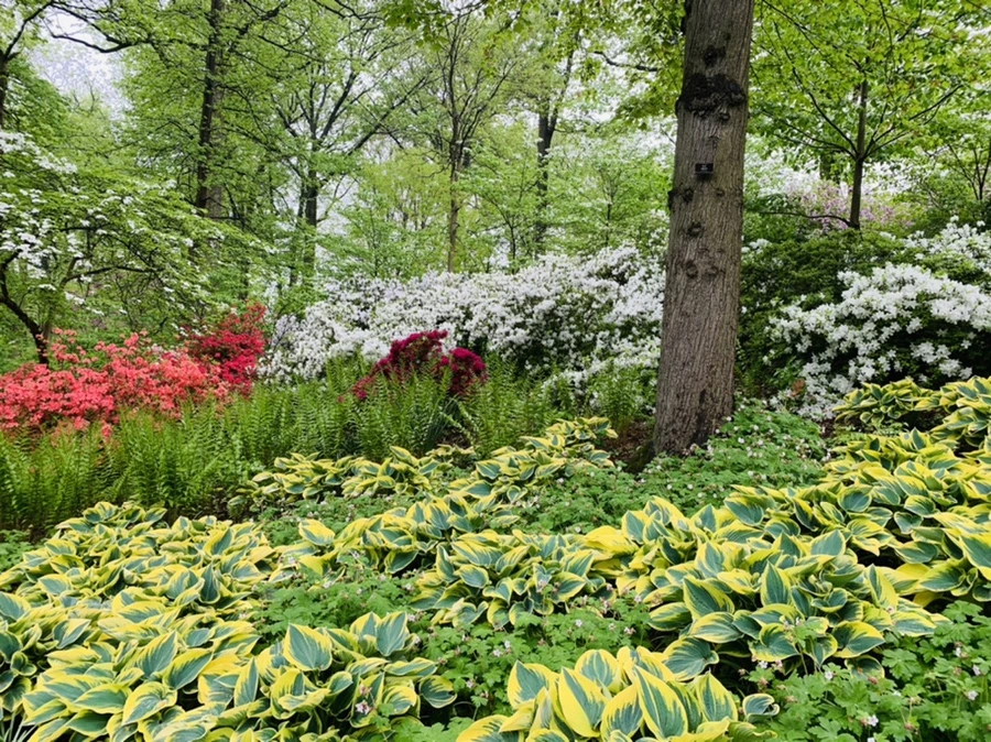 IMG_0302.jpg?type=w966