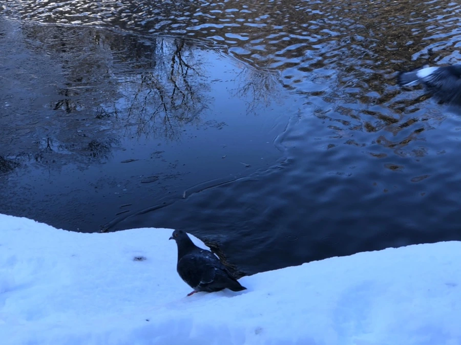 IMG_9634.jpg?type=w966