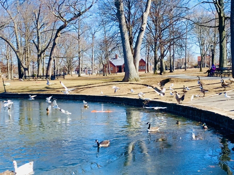 IMG_8253.jpg?type=w966