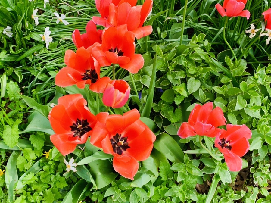 IMG_6963.jpg?type=w966