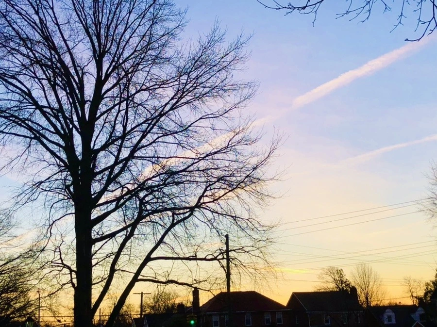 rsLxhi8kxVlBdf99X3I83gS7ixM