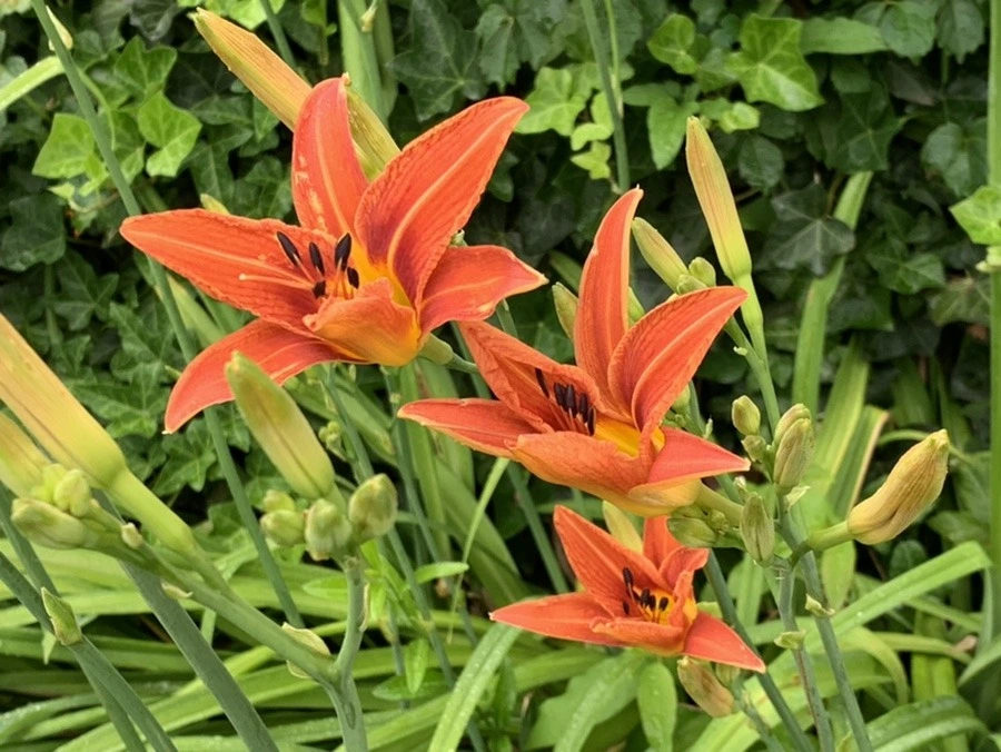 NPP79RkTnuWZcD6-Jxs43L_wLT8