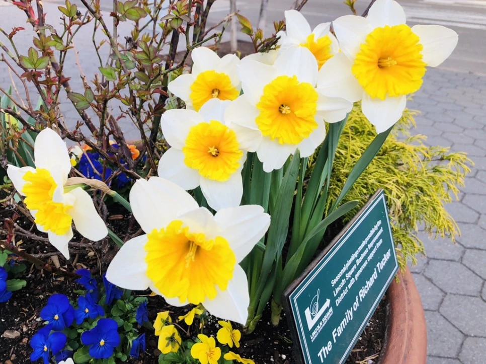 IMG_2604.jpg?type=w966