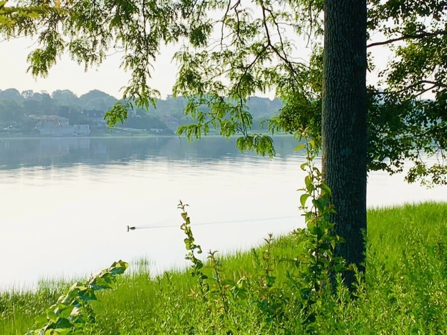 V0IRQZ1Jbo6mM6e_my9WiTr_CeE