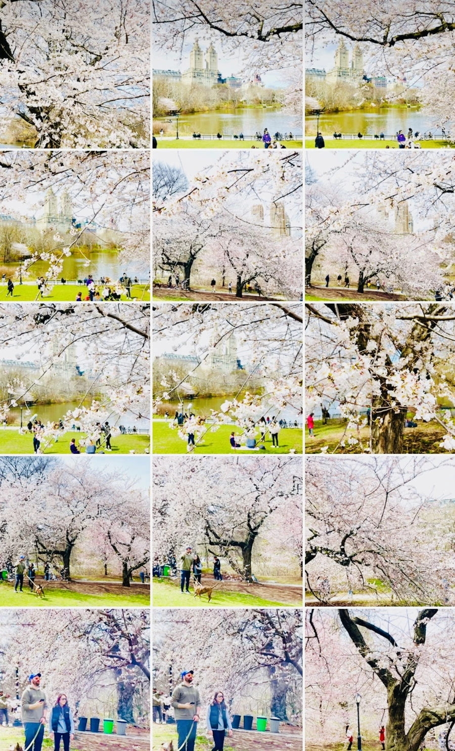 IMG_8995.jpg?type=w966