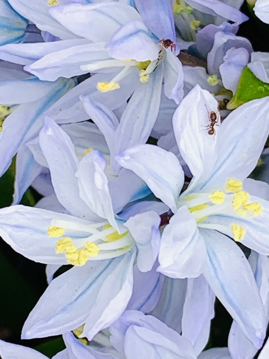 IMG_3535.jpg?type=w966