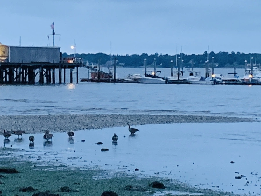 IMG_6740.jpg?type=w966