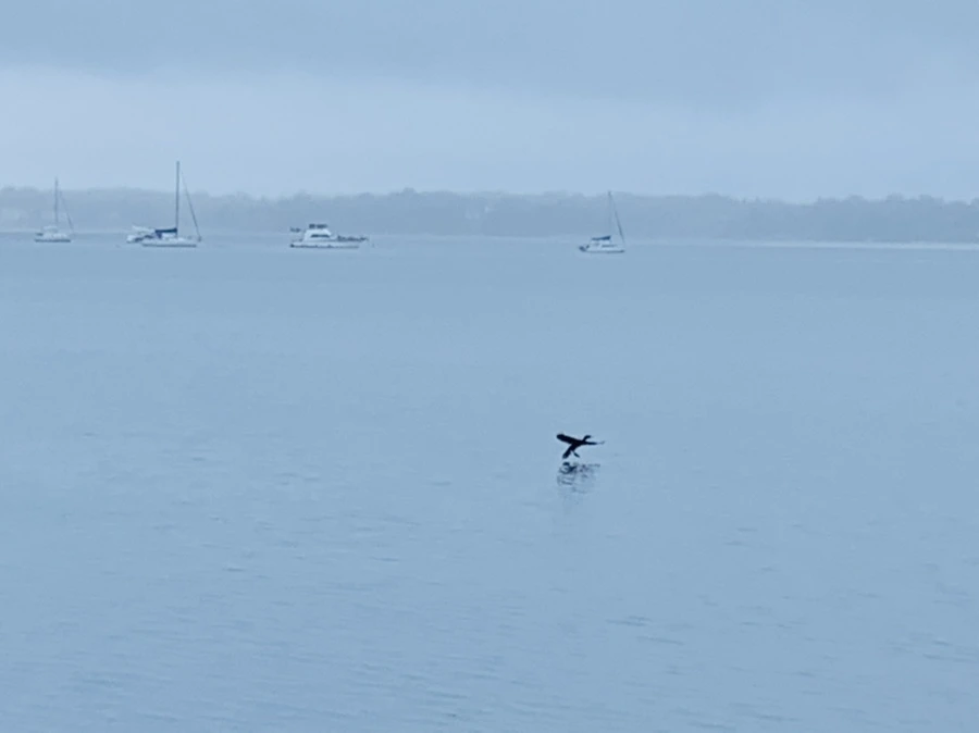 IMG_4782.jpg?type=w966