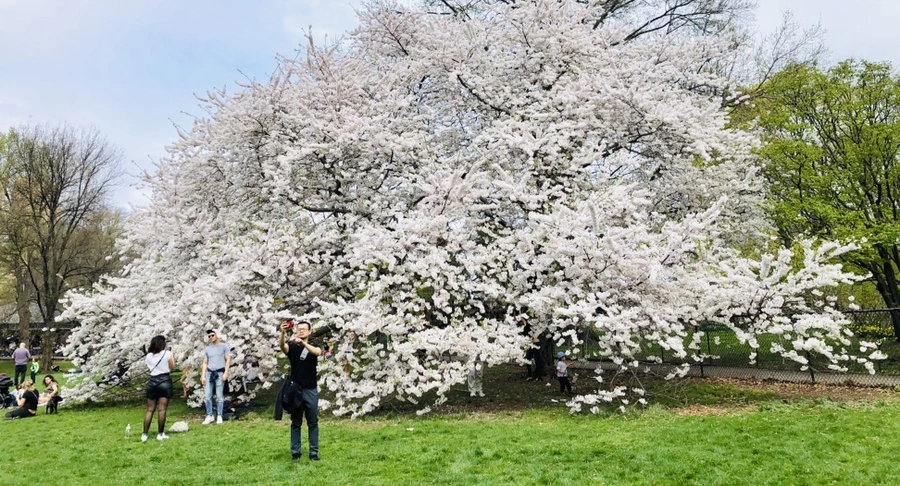 IMG_2937.jpg?type=w966